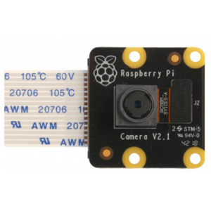 Raspberry Pi PiNoir Camera Module V2.1 Cámara Multicolor