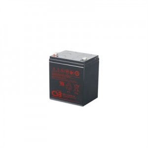 Salicru Bateria 12 V  5Ah